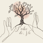 Laura PROVOST, Clémence GUENON, Constance RUCHET, Ostéopathie à Gray