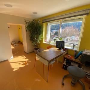 HEBERLE Anne Cecile, Pédicure-podologue à Epinal