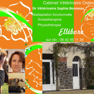 Docteur Vétérinaire  Sophie BONNEAU  à St Fromond